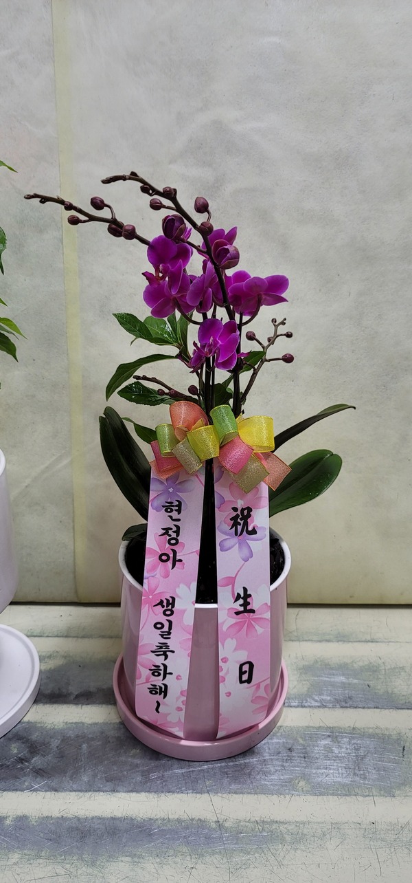 업로드 이미지