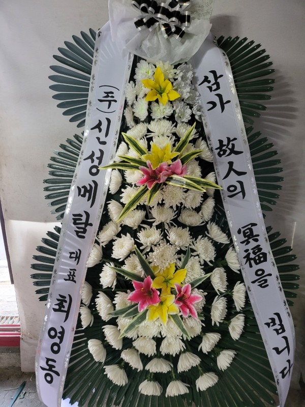 업로드 이미지