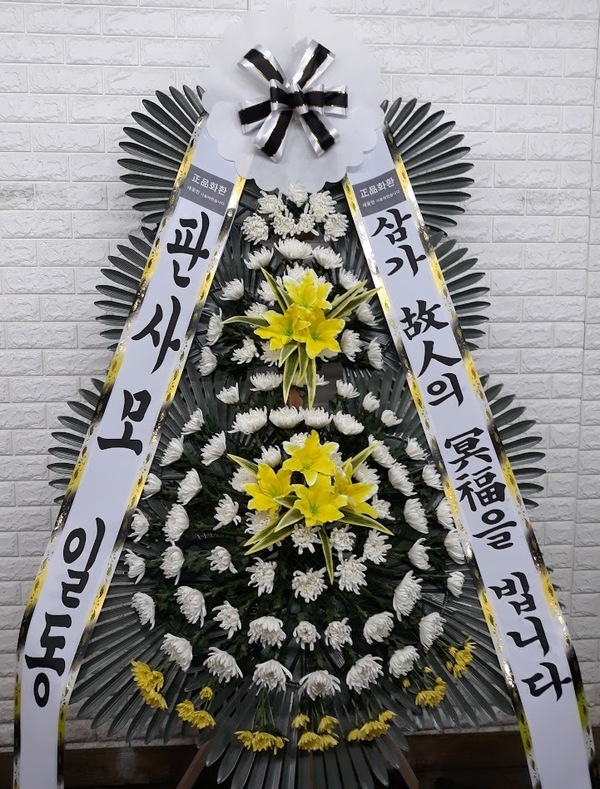 업로드 이미지