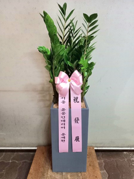 업로드 이미지