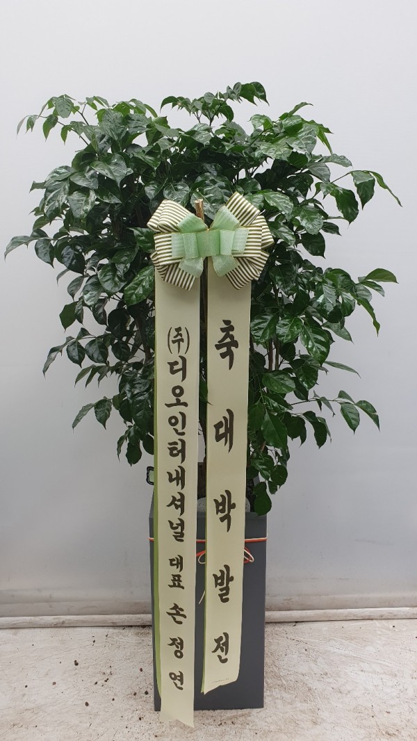 업로드 이미지