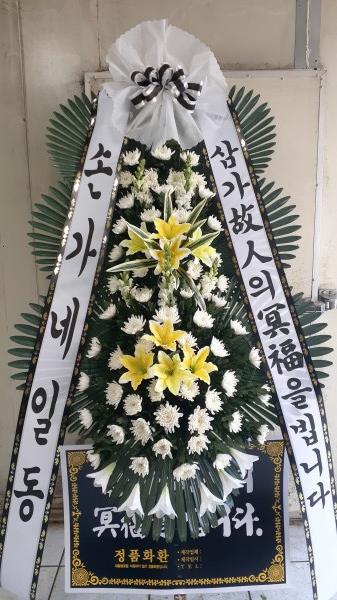 업로드 이미지