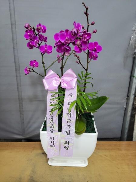 업로드 이미지