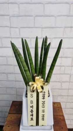 배송사진