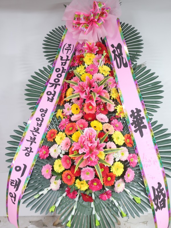 업로드 이미지
