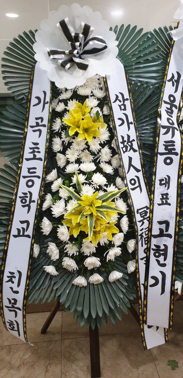 업로드 이미지