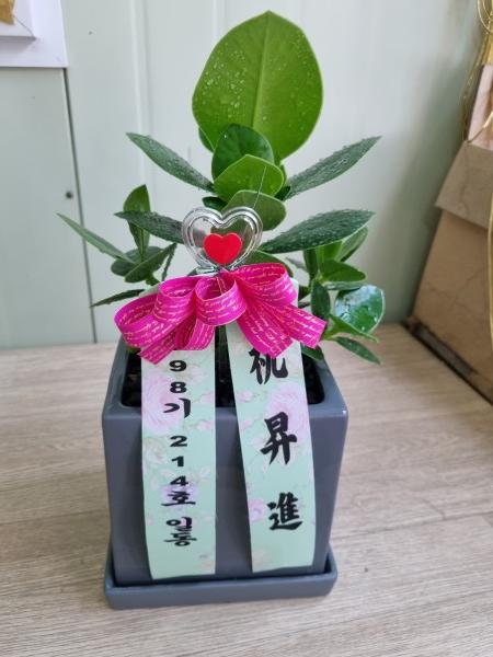 업로드 이미지