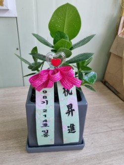 배송사진