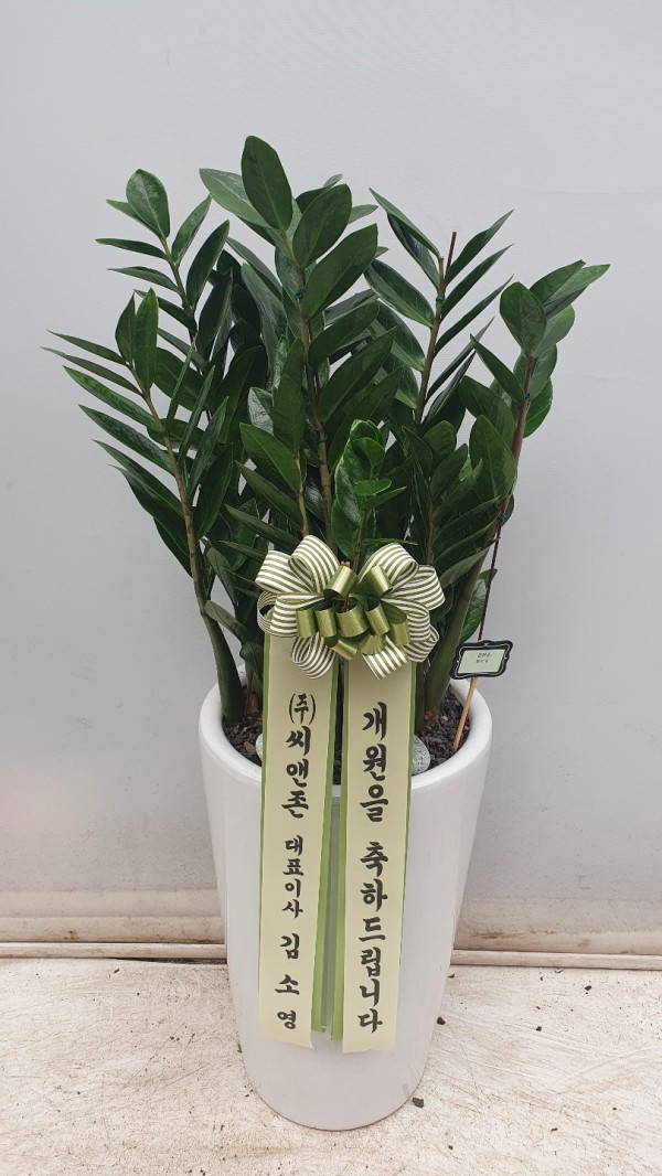 업로드 이미지