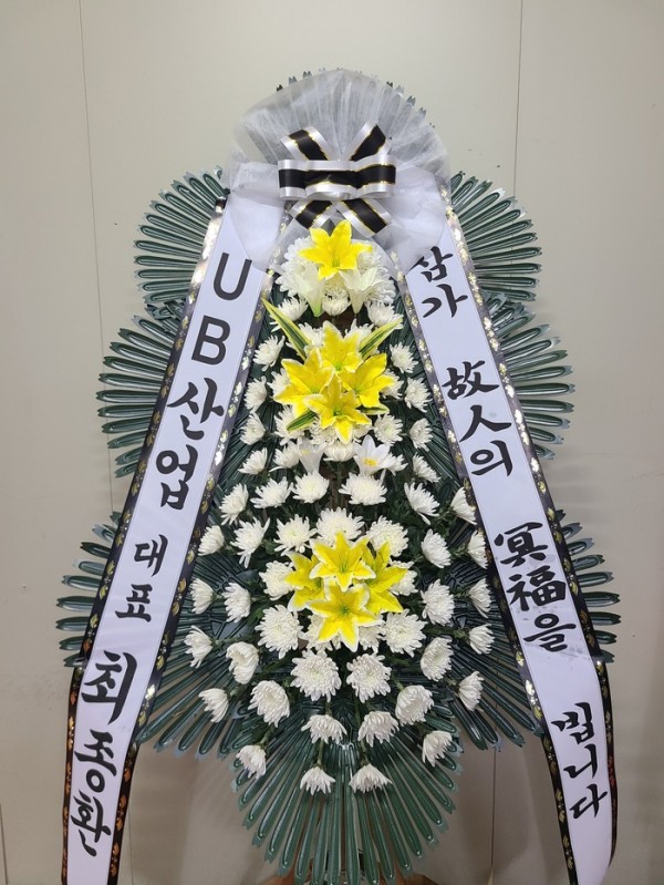 업로드 이미지