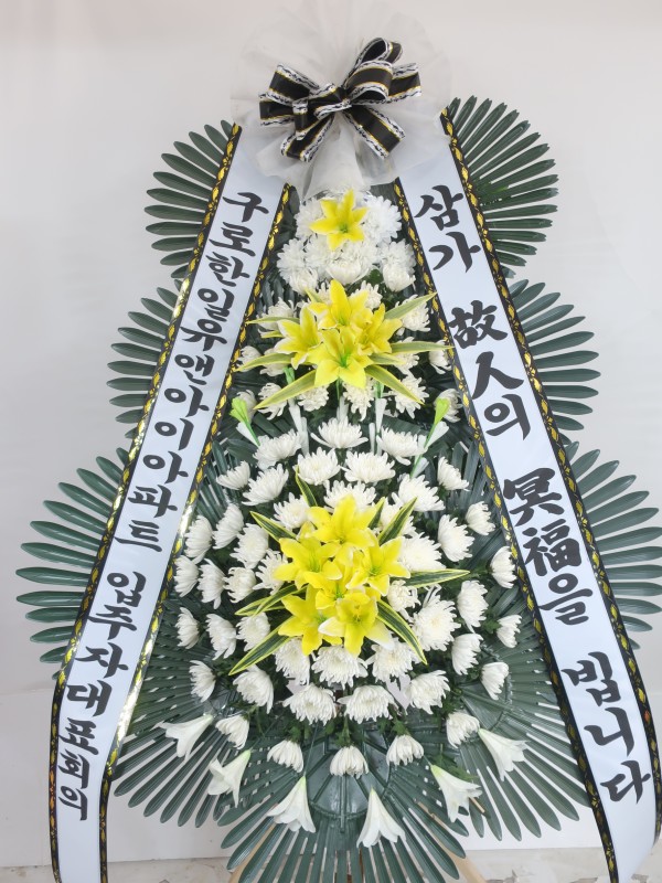 업로드 이미지