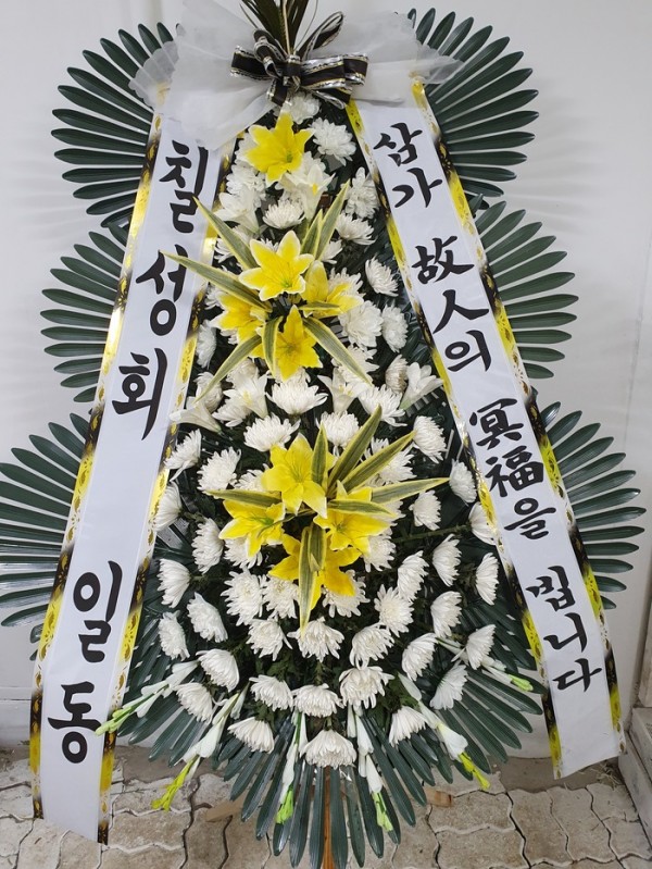 업로드 이미지