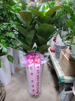 배송사진
