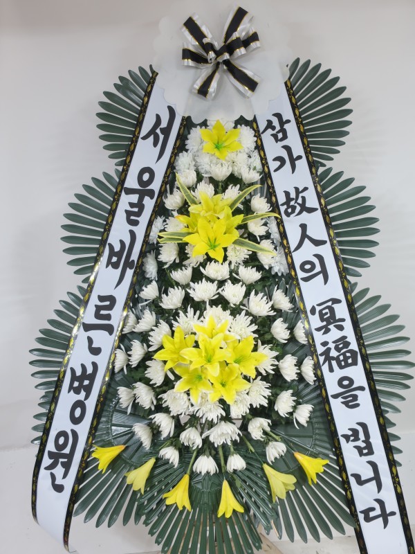 업로드 이미지