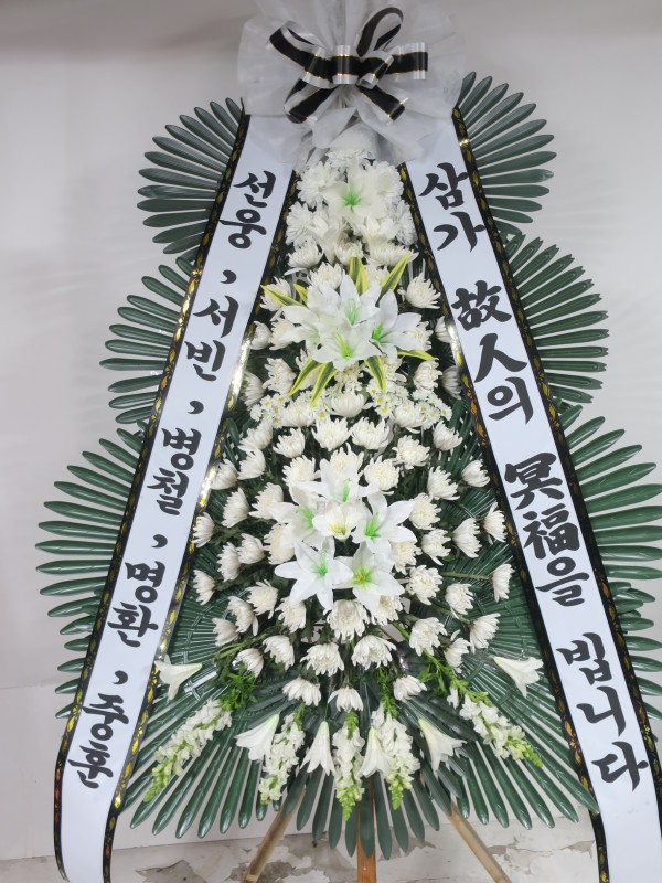 업로드 이미지