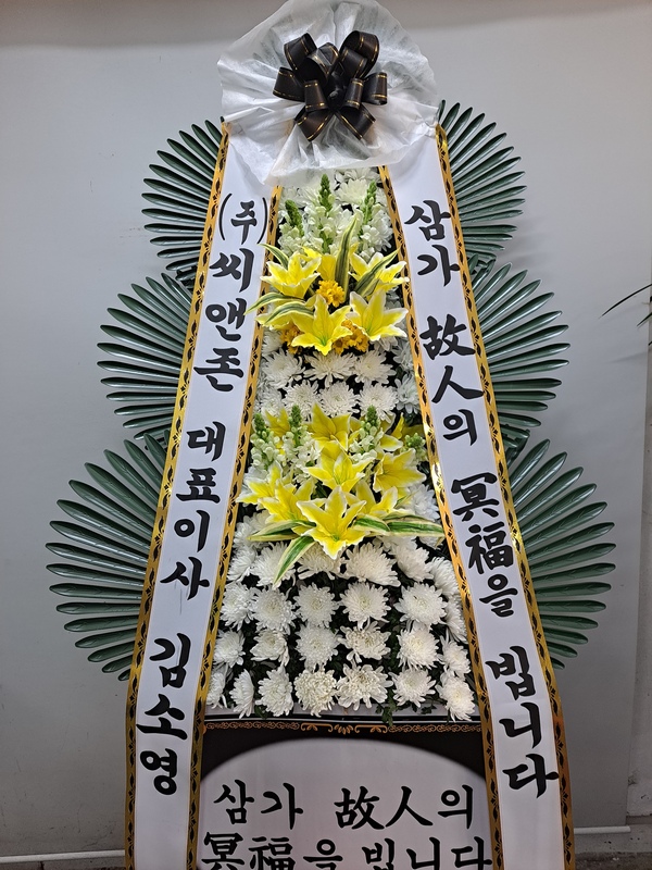업로드 이미지