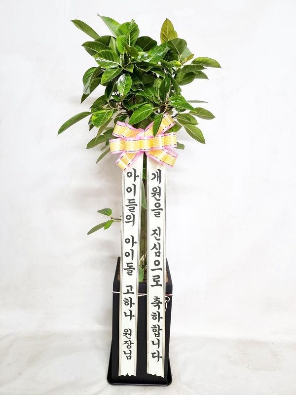 업로드 이미지