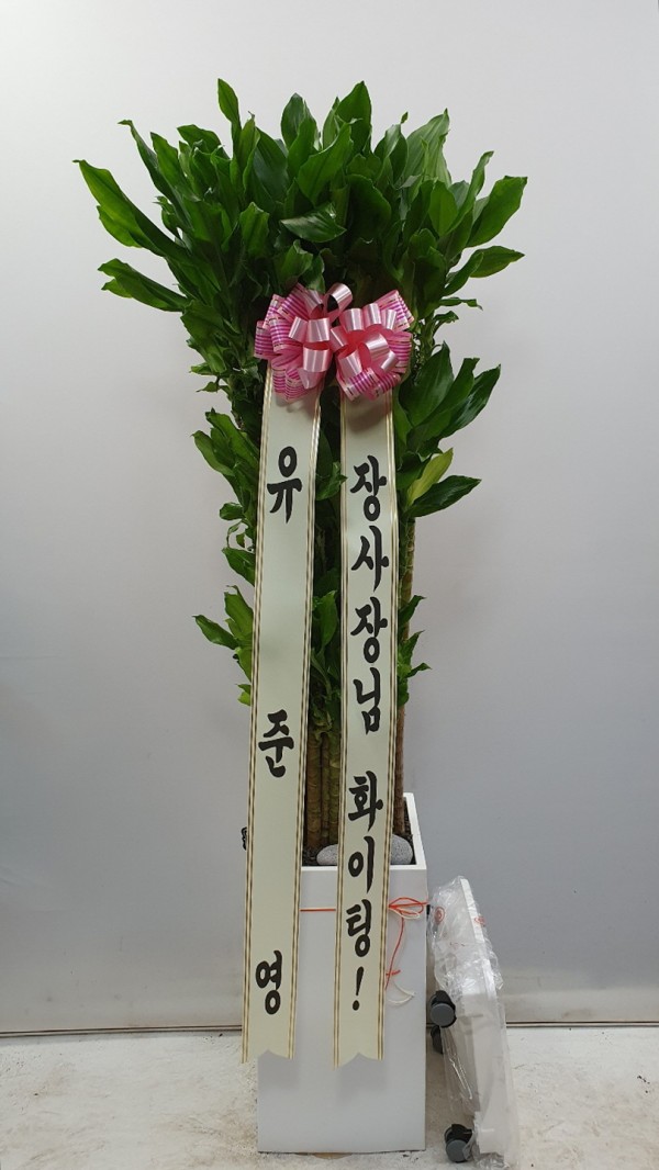 업로드 이미지