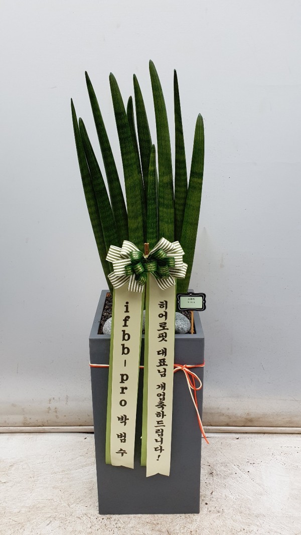 업로드 이미지