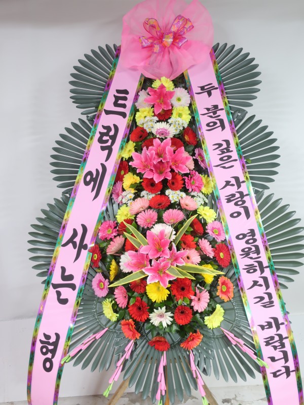 업로드 이미지