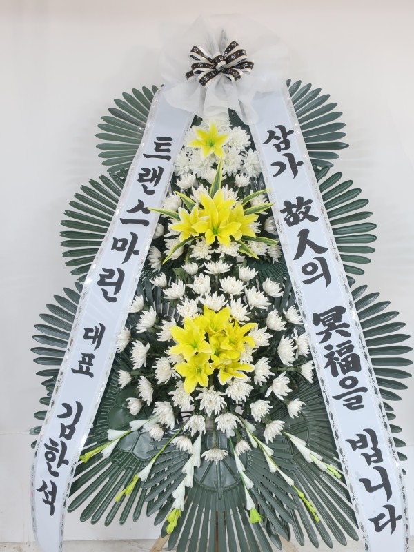 업로드 이미지
