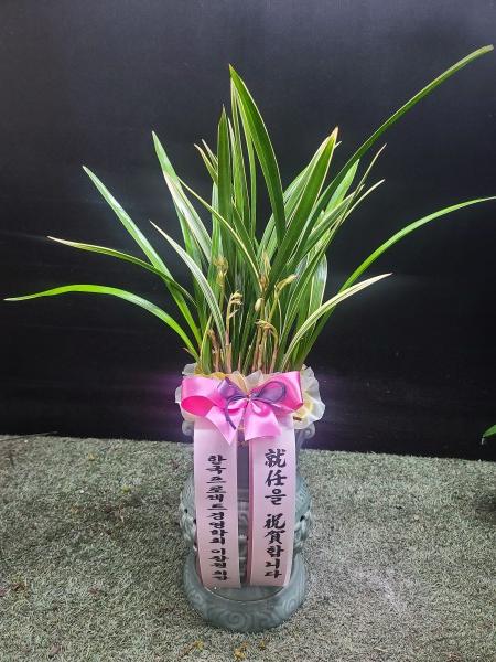 업로드 이미지