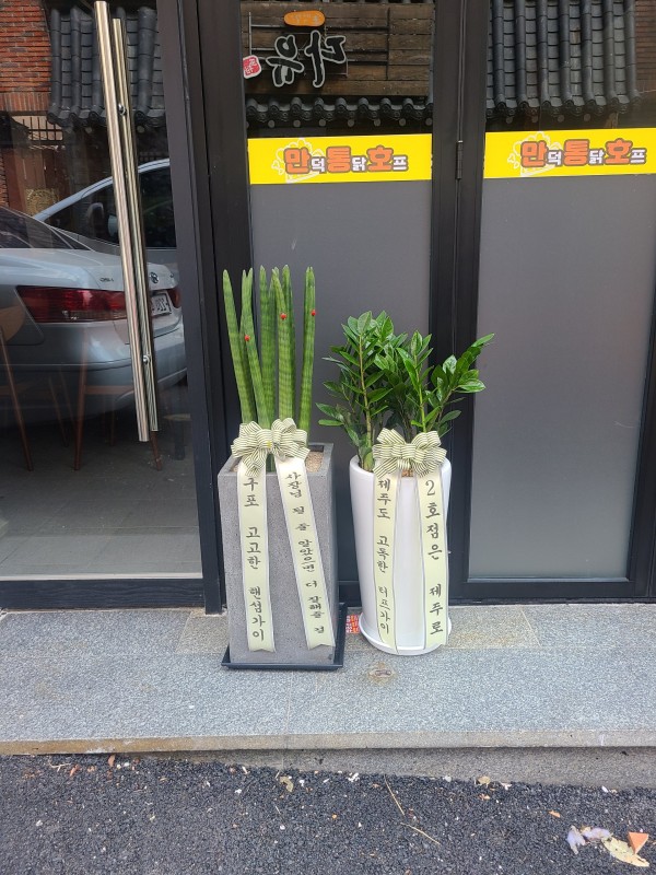 업로드 이미지