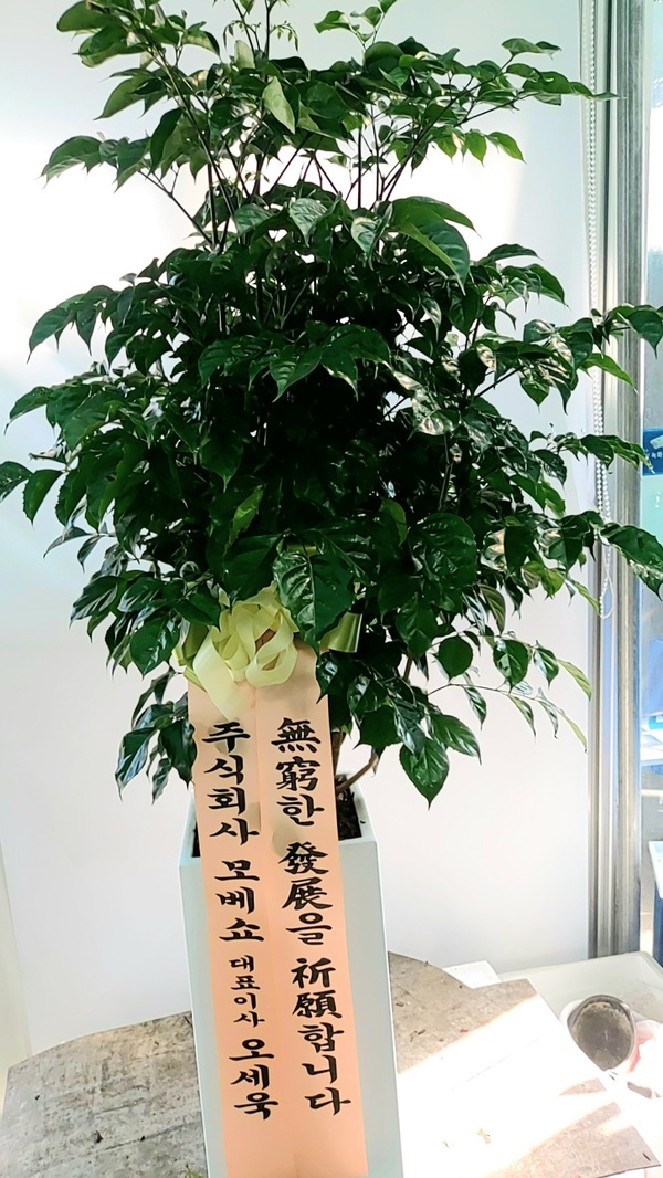 업로드 이미지