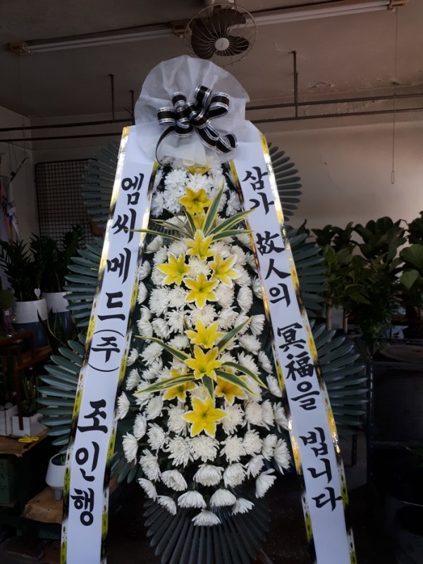 업로드 이미지