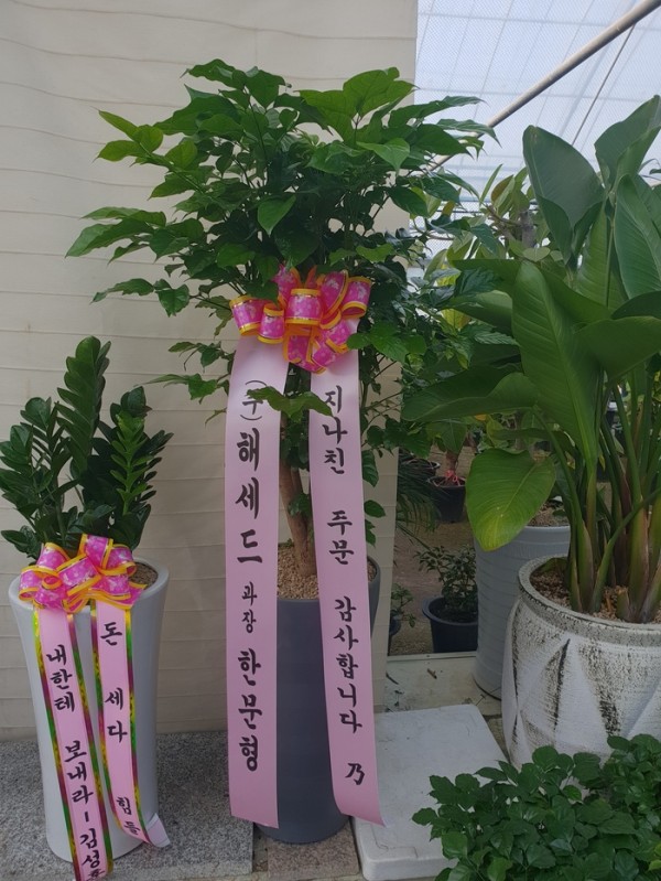 업로드 이미지