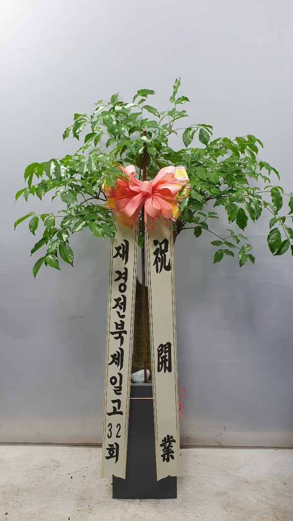 업로드 이미지