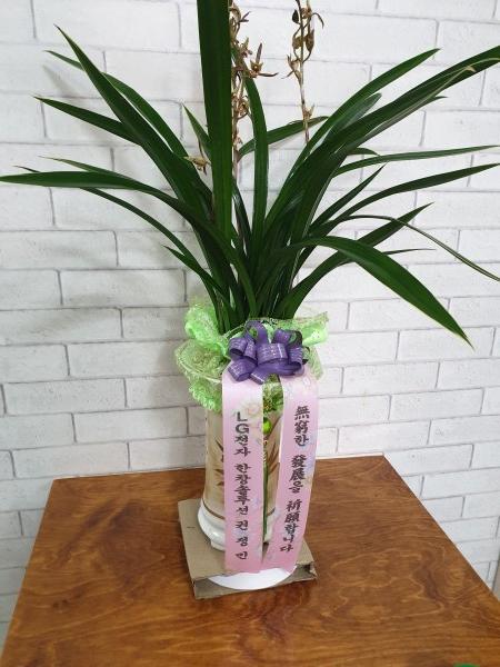 업로드 이미지