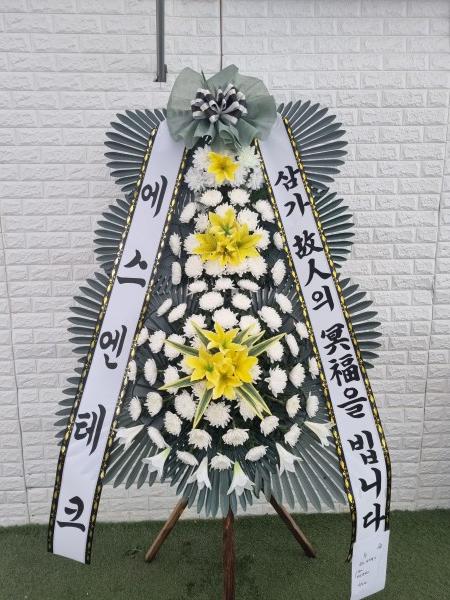 업로드 이미지
