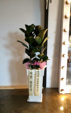 배송사진