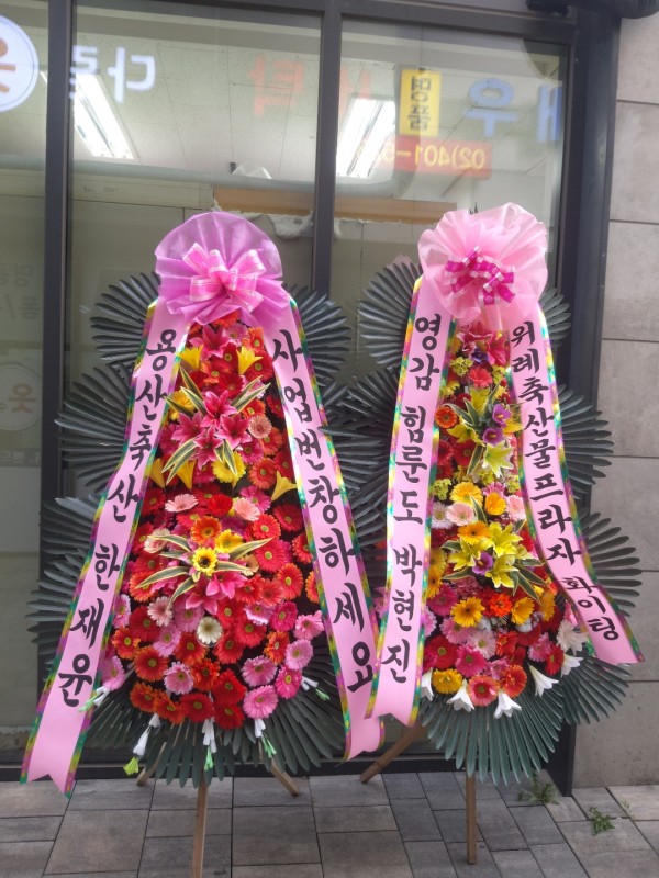 업로드 이미지