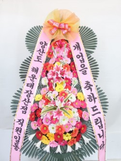 배송사진
