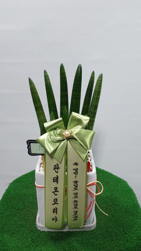 업로드 이미지