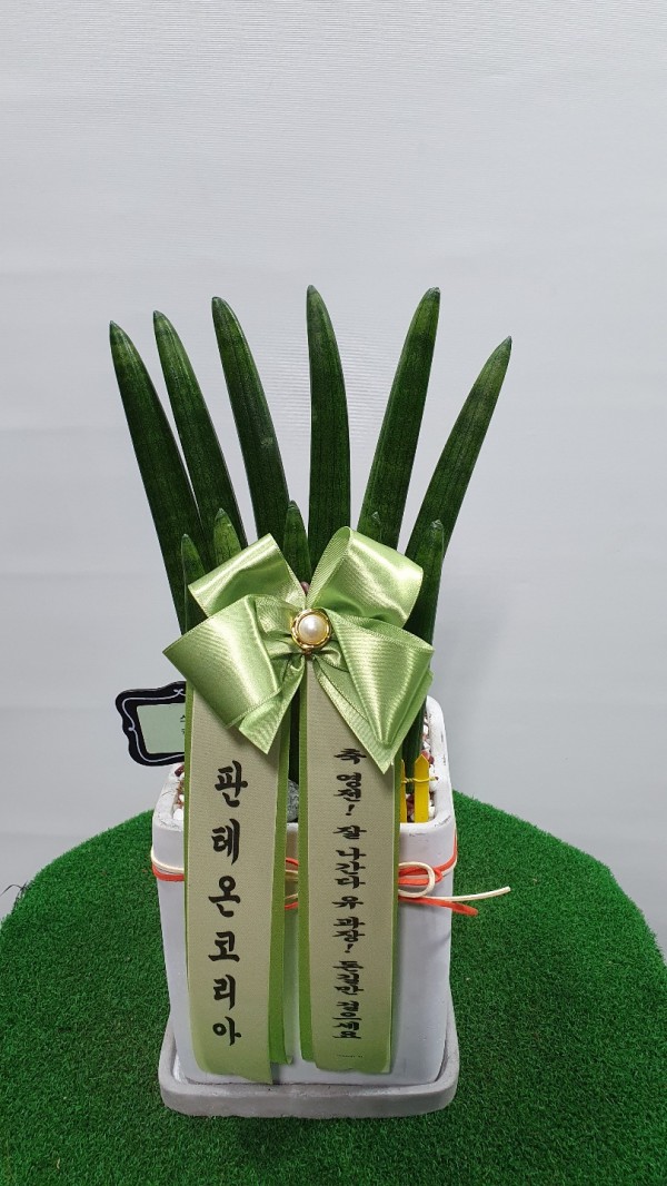 업로드 이미지