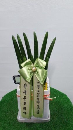 배송사진
