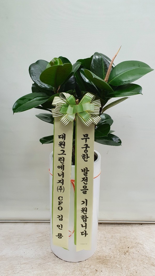업로드 이미지