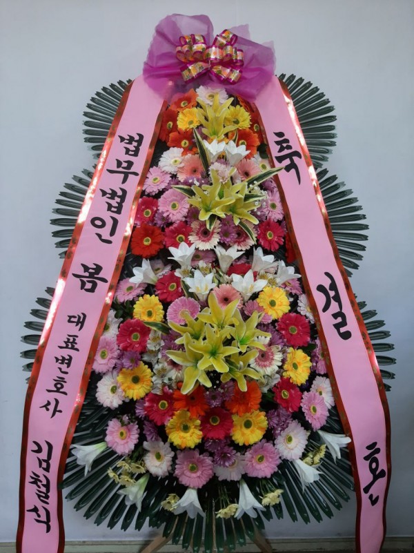 업로드 이미지