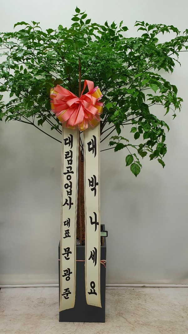 업로드 이미지
