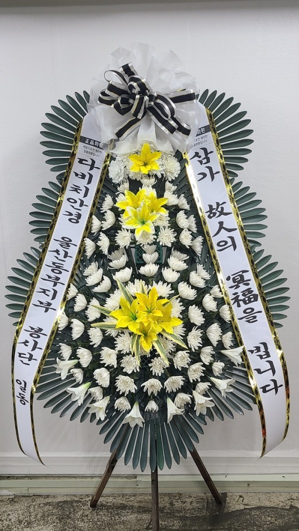 업로드 이미지