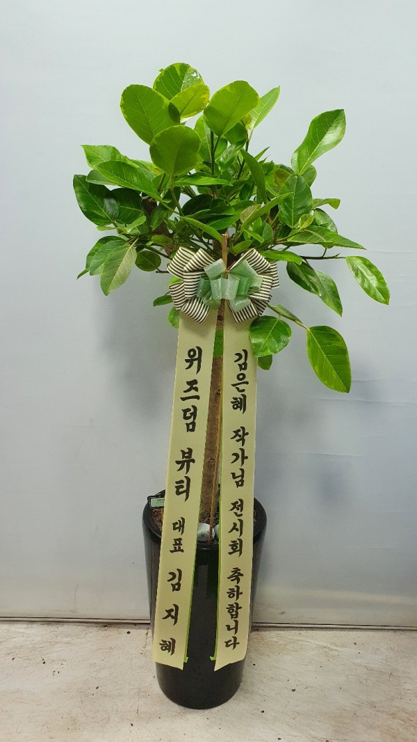 업로드 이미지