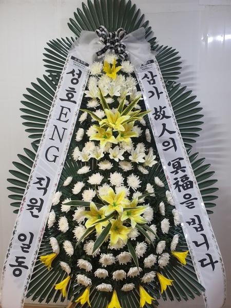 업로드 이미지