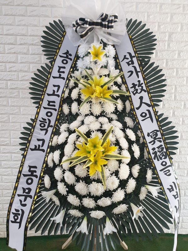 업로드 이미지