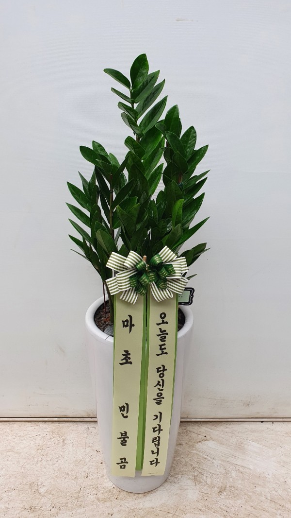 업로드 이미지