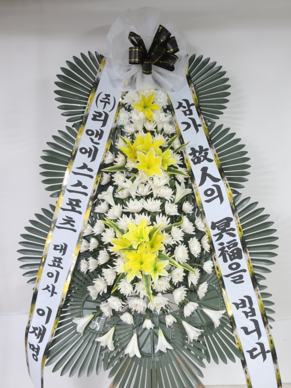 업로드 이미지
