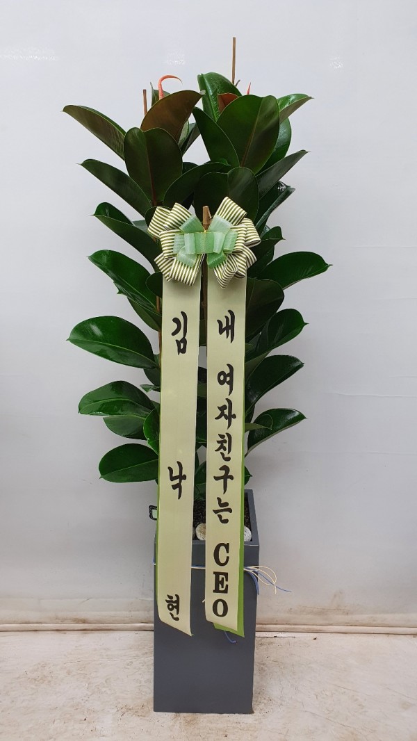 업로드 이미지
