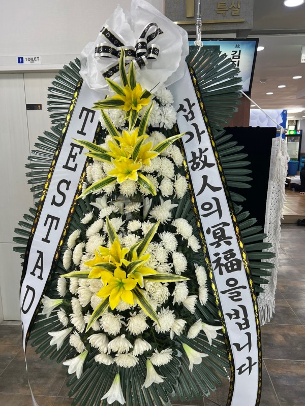 업로드 이미지